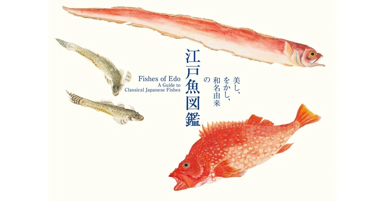 【真作】掛軸　三尾の小魚図　洒脱な筆遣い　淡彩魚図　素朴な味わい　T110 91ZjWrpWPzL._AC_UF1000,