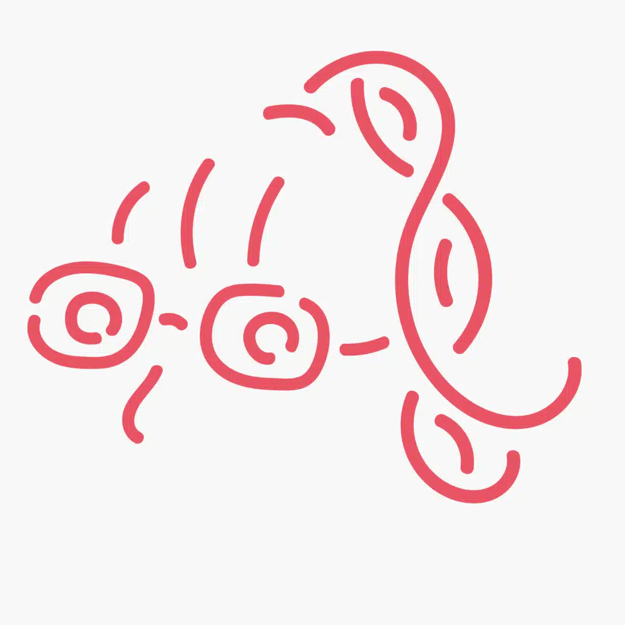 ぶたもも