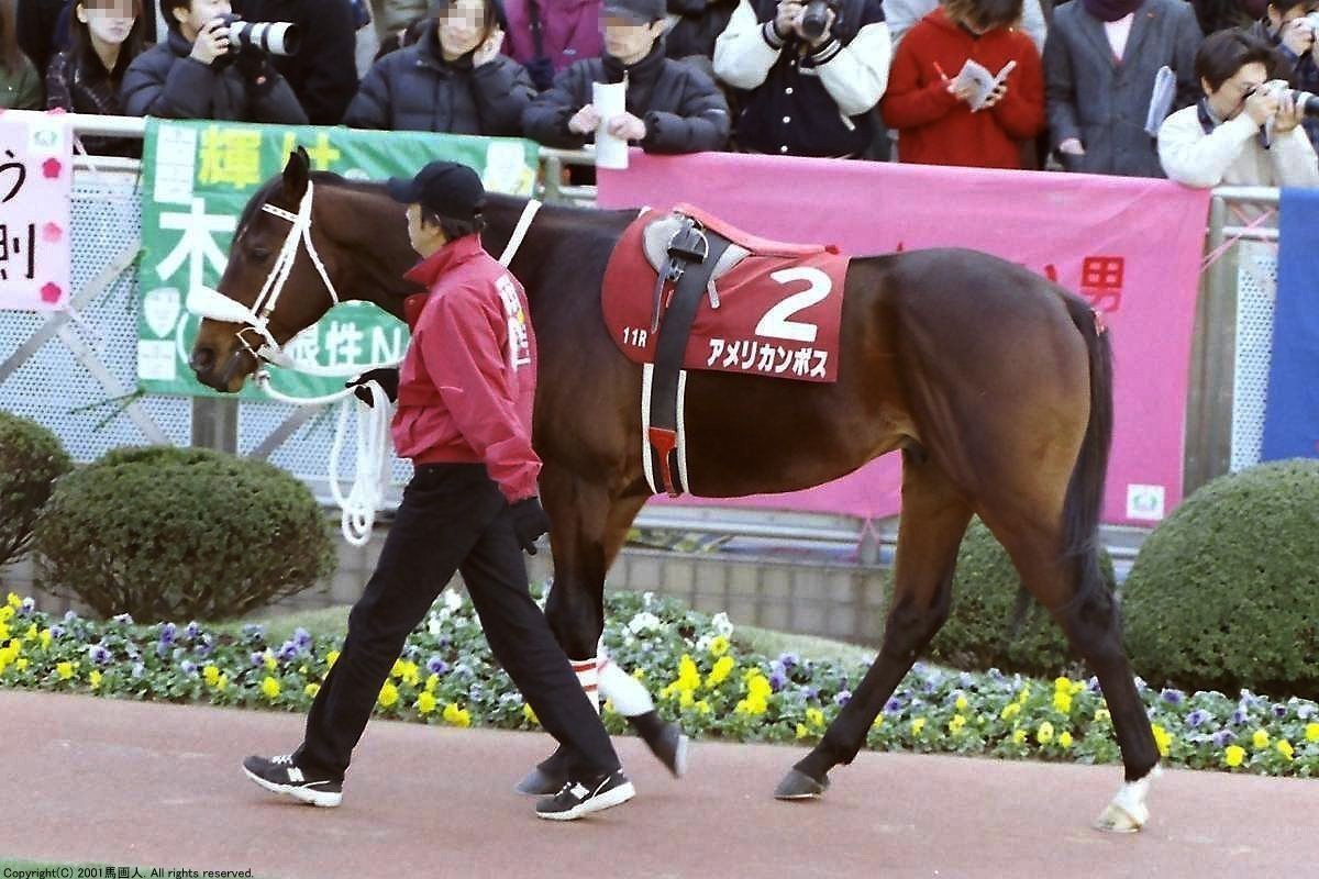 第75回中山記念 蔵出し写真 01年 アメリカンボス 馬画人 まがじん Note