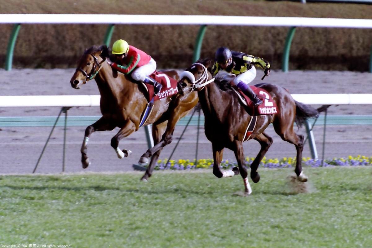 第75回中山記念 蔵出し写真 01年 アメリカンボス 馬画人 まがじん Note