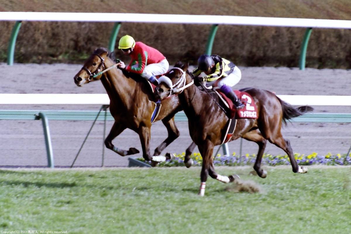 第75回中山記念 蔵出し写真 01年 アメリカンボス 馬画人 まがじん Note