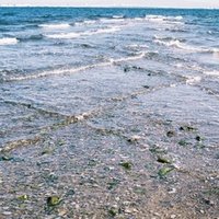 東京海洋大学ー編入体験記 カメ Note