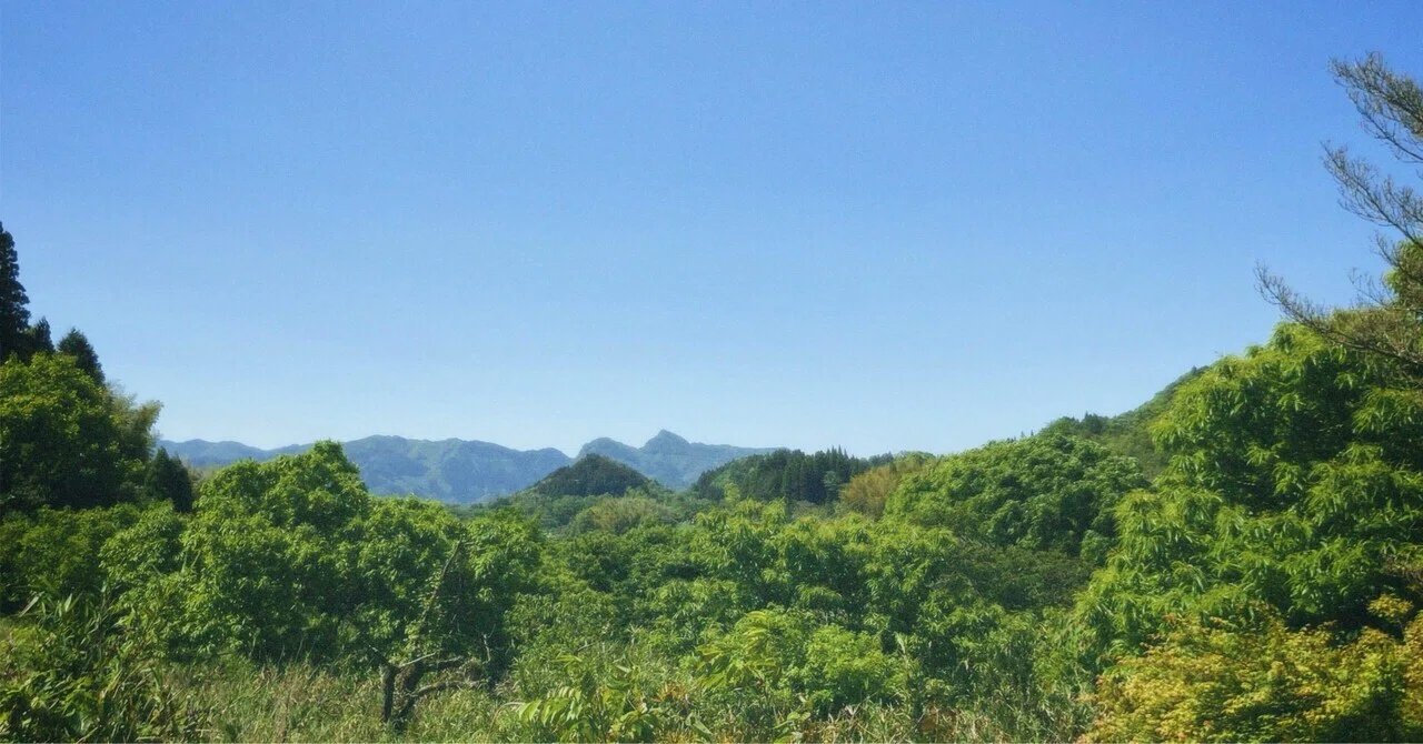虫と草と山暮らし|私もみんなも自然の一部｜まやのやまの暮らし