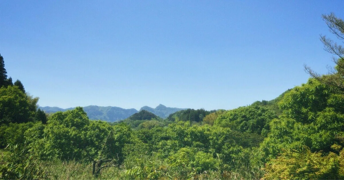 虫と草と山暮らし|私もみんなも自然の一部｜まやのやまの暮らし
