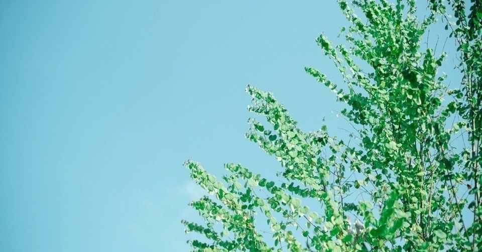 そのうち なんとか なる だ ろう