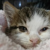 住宅評論家が自宅マンションでゾーッとした ハイヒールの足音 櫻井幸雄 Note