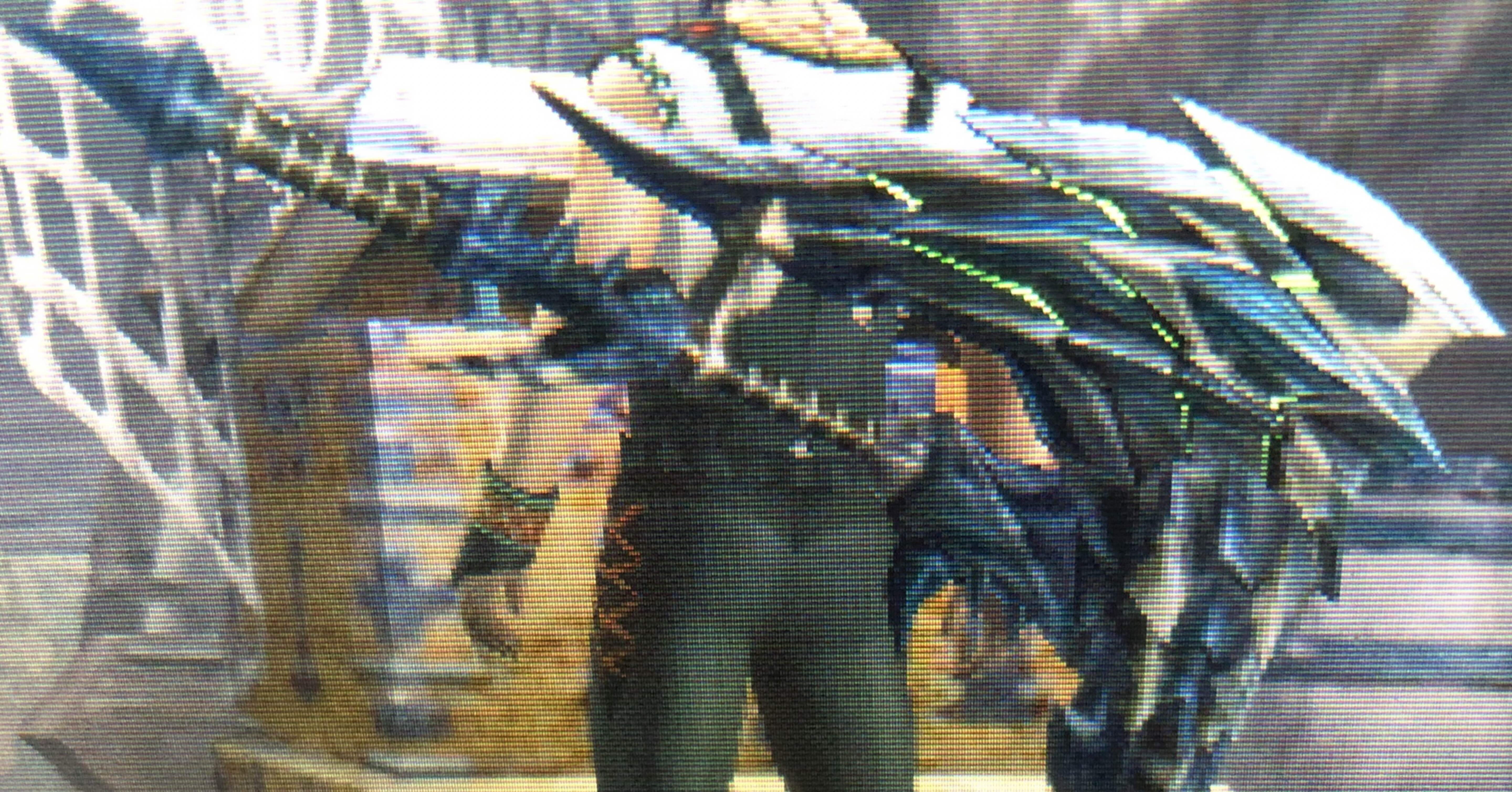 モンスターハンター まとめ 17eba0f53623c9e9f403af08080c80