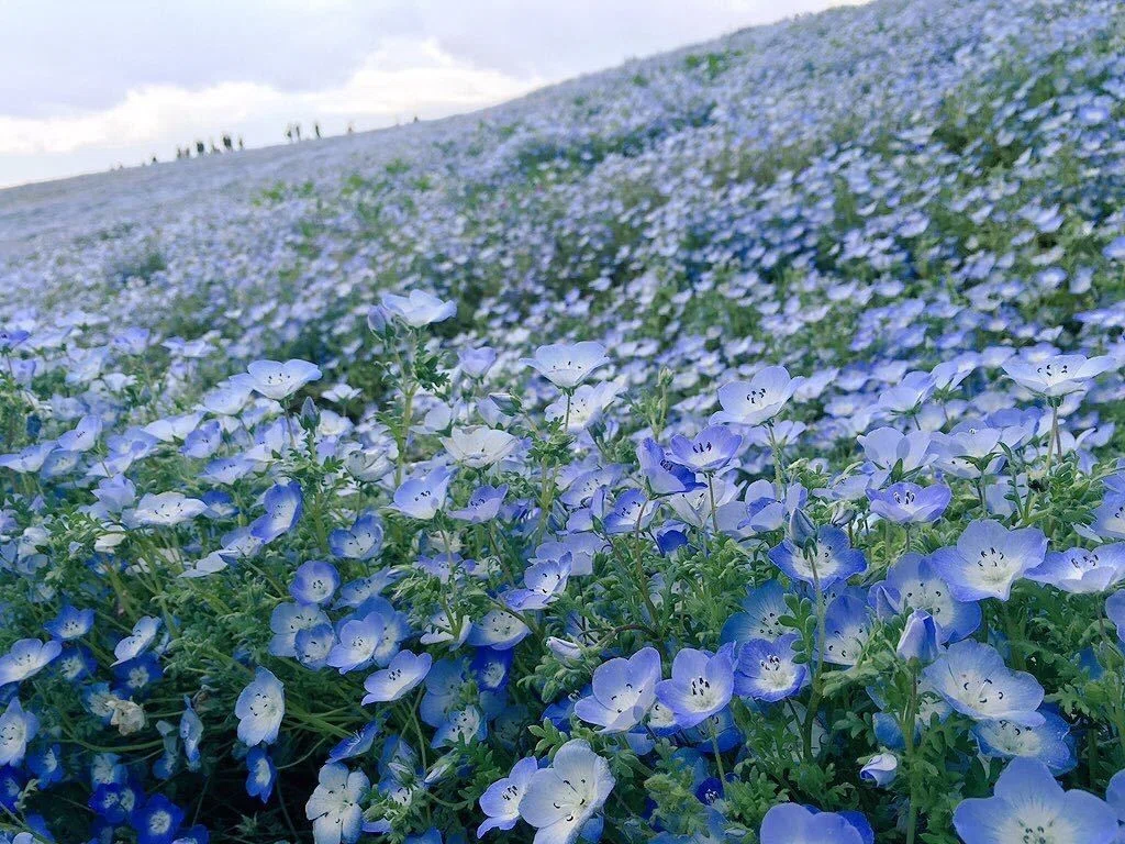 画像76