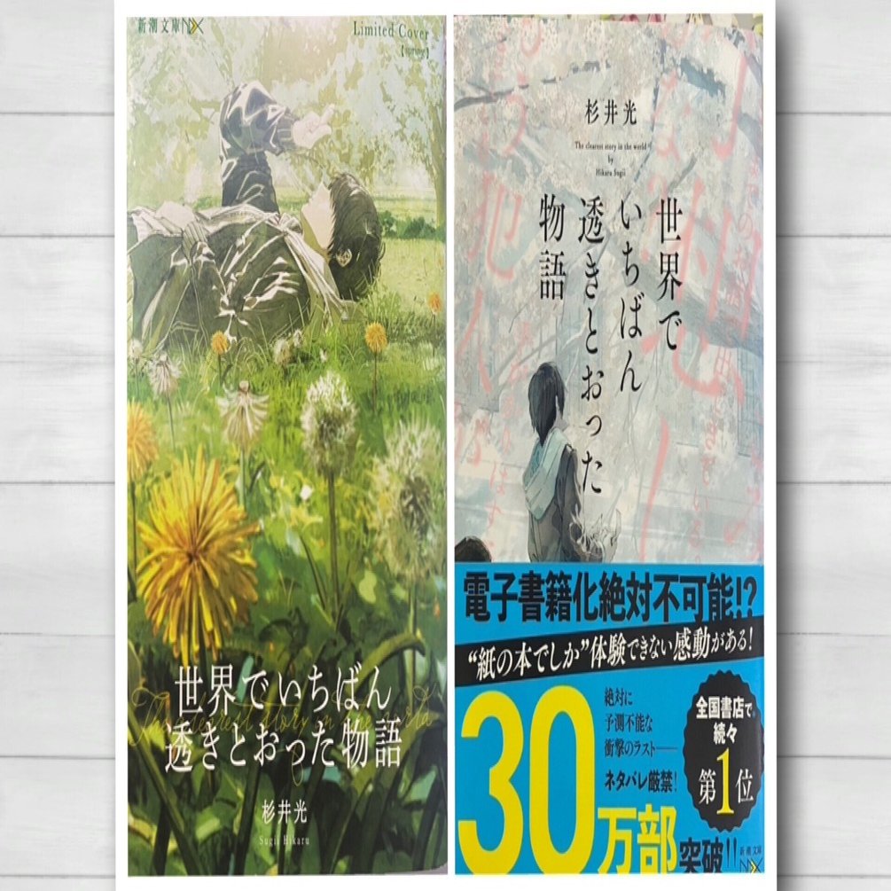 読書＞世界でいちばん透きとおった物語｜草風日記 by melissa