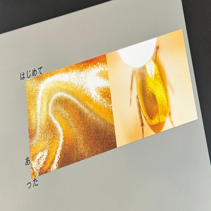 大橋仁写真集『はじめて あった』に会った｜伊藤 拓郎