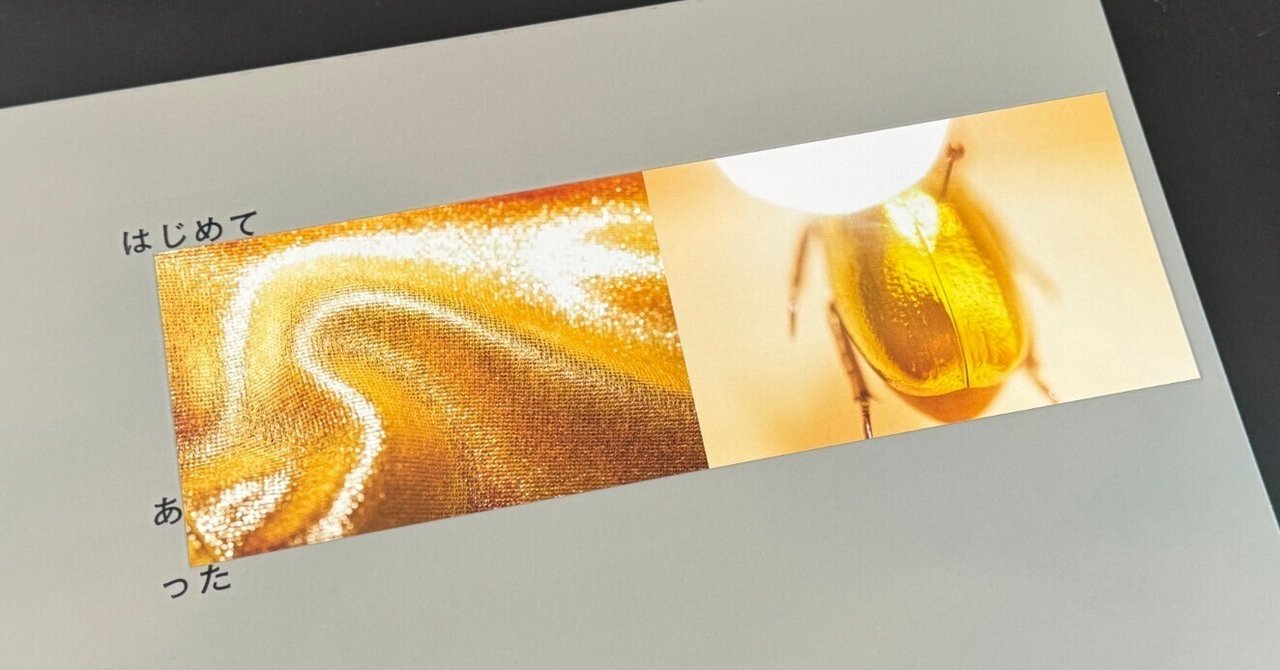 大橋仁写真集『はじめて あった』に会った｜伊藤 拓郎