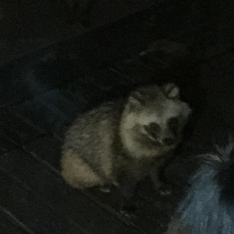 仙酔島紀行 15 0228 0301 橘川幸夫 Note