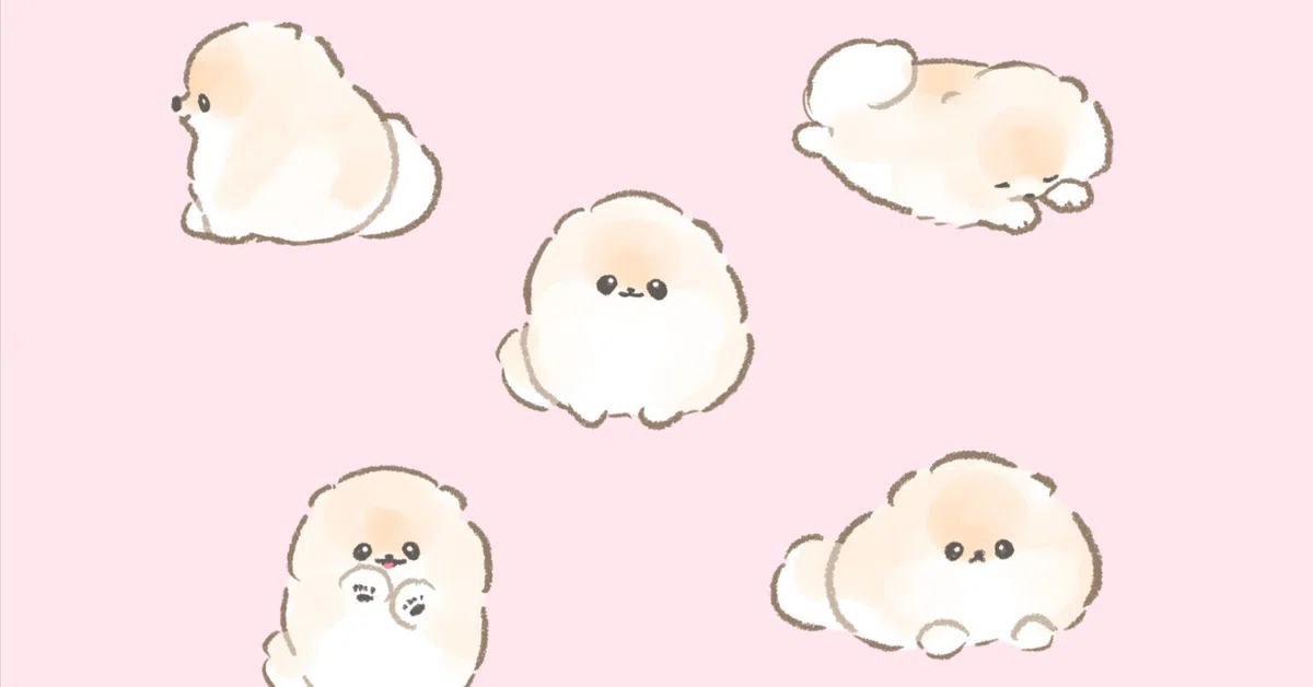 はじめに｜ぽこ︱ぽぽちの飼い主