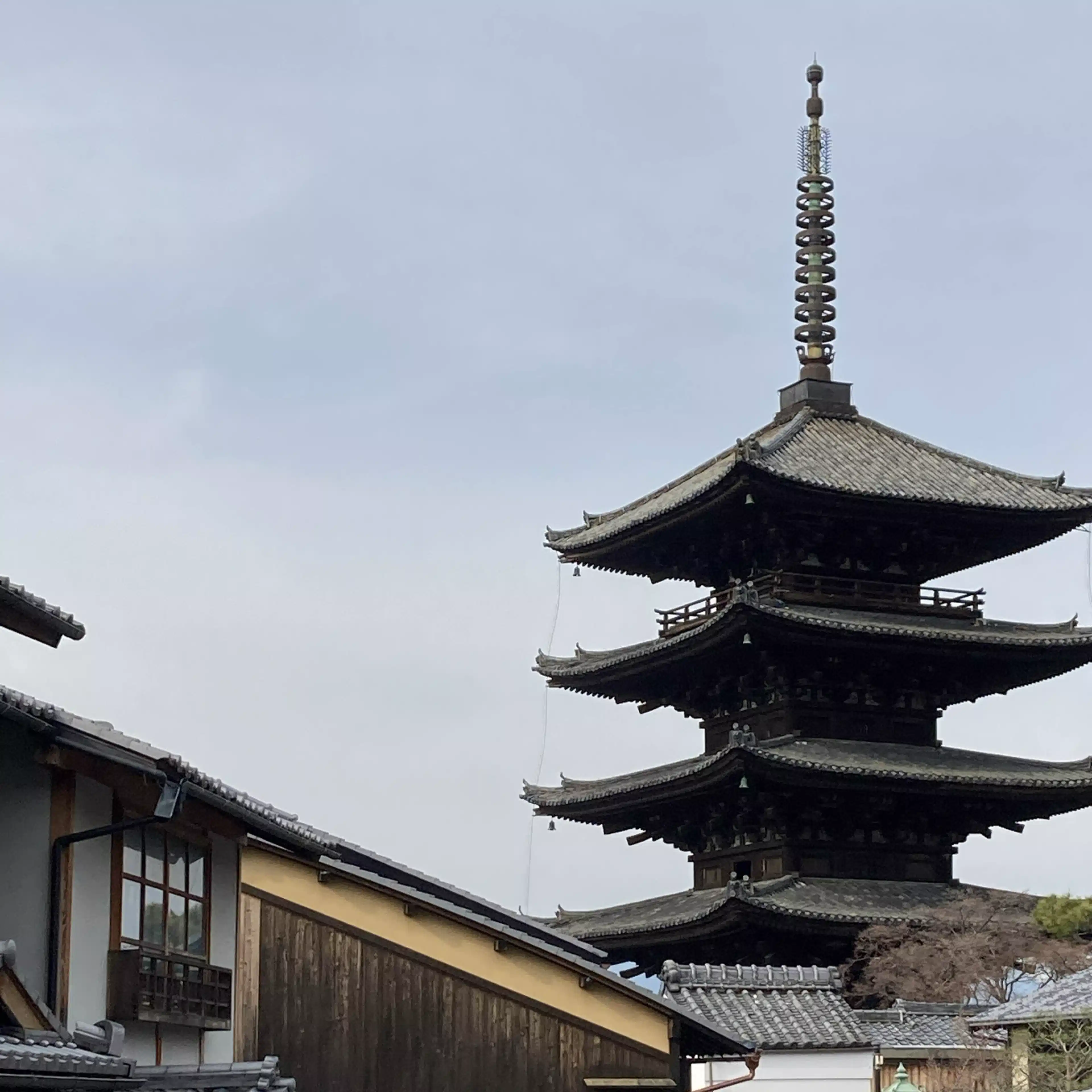 ナイトフライ京都