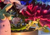 ディプティックのディスカバリーセットの感想｜たなか麦