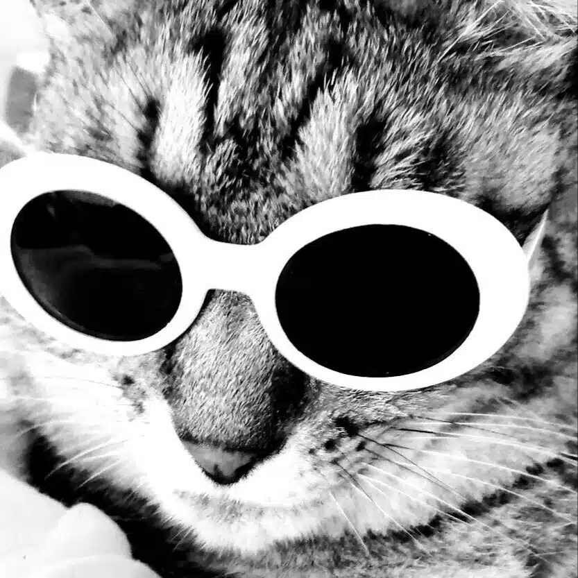 猫渕珠子