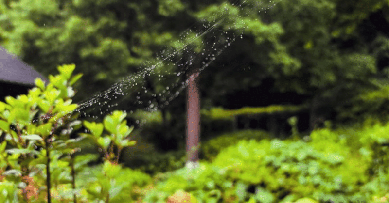 【今日の短歌】蜘蛛の糸 伝い流れる雨粒は わたしの涙 飲んでください