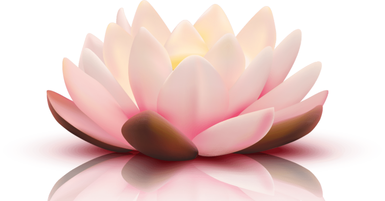 蓮華ノ徳について【蓮ノ空103期】｜ノイマリモ