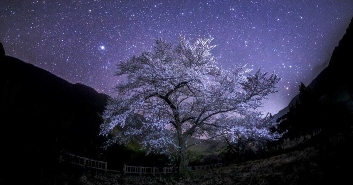 原画 月 星 海 夜空 桜 桜吹雪 星空 春 おしゃれ モダンアート 現代アート 原画 月 星 海 夜空 桜 桜吹雪 星空 春 おしゃれ モダンアート