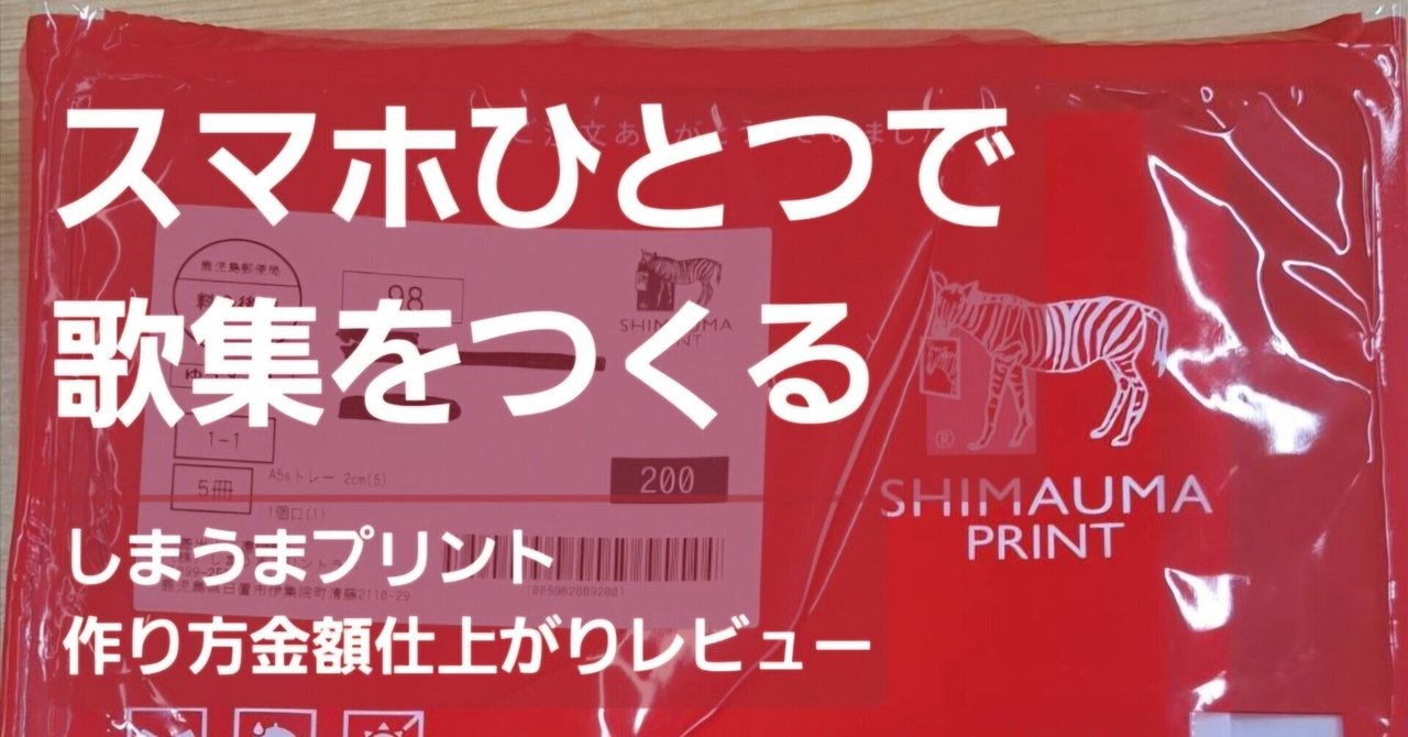 拡大写本の作り方―弱視の人に手書きの本を (ラージプリント