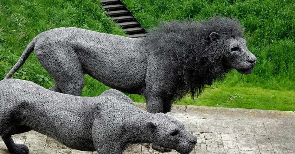 野良猫と縄張り争い大戦 やんじぇ Note