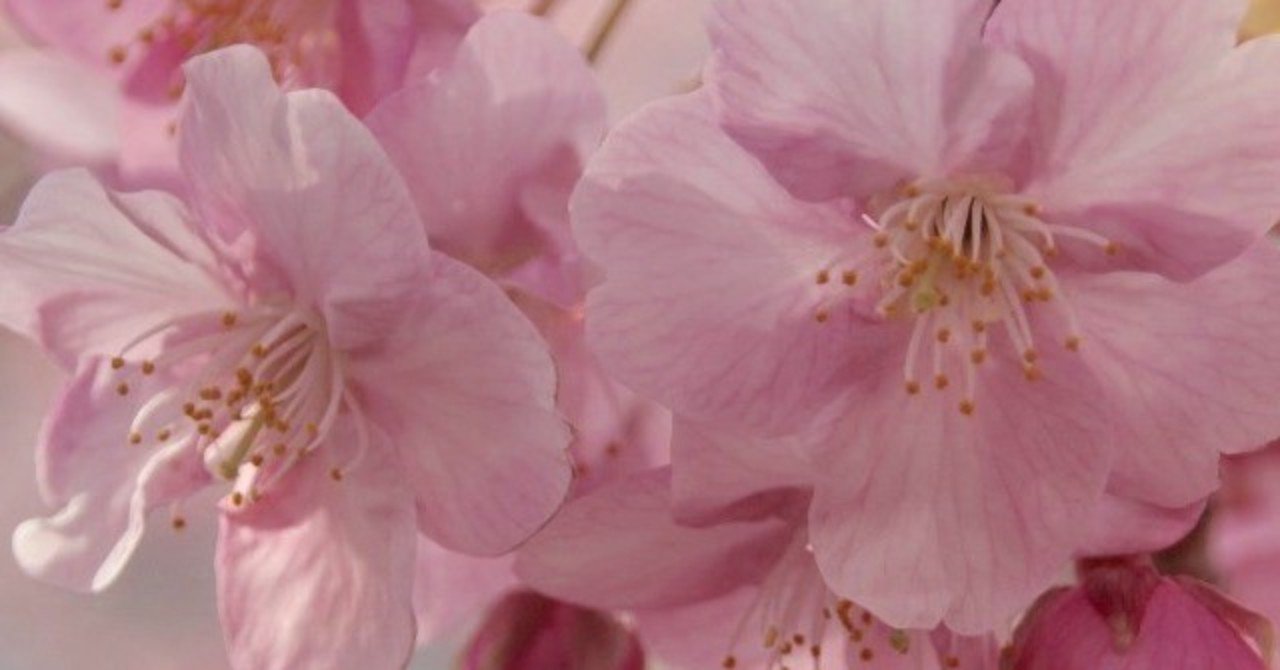 派遣切り パワハラ 差別 普通の生活から 無職のアラフォー貧困女子への道 その1 横溝 Note 派遣切り パワハラ 差別 普通の生活から 無職のアラフォー貧困女子への道 その1 横溝 Note