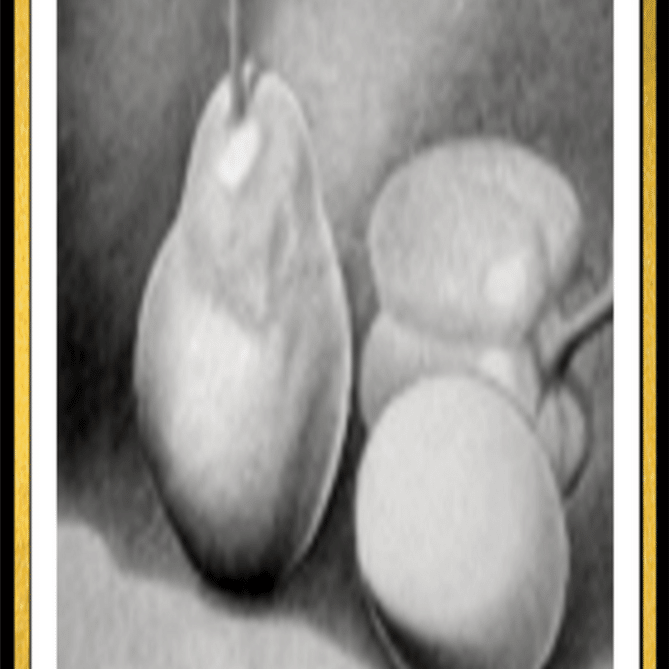 デッサンで初心者が静物の描き方を基本から学ぶ方法！｜中山眞治