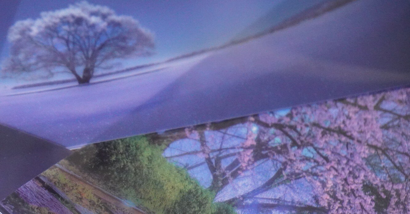 f5d69f05ccadc1ad6fb2758a4a7009