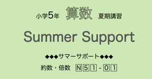 SAPIX 6年生 サマーSAPIX18冊セットN61-18からN61-01 算数6年サピックス サマーサポート解説［N61-01数の性質