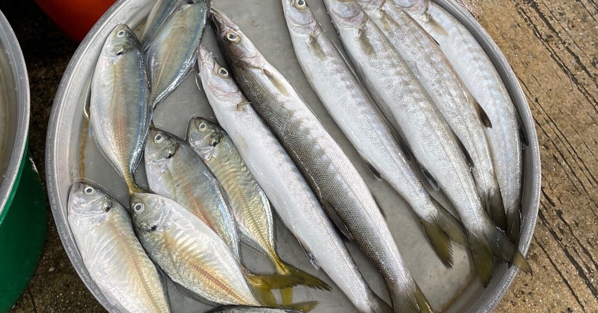 タイ語学習#89】朝市場で鯵を買う🇹🇭🐟｜さといも@タイ駐在帯同中