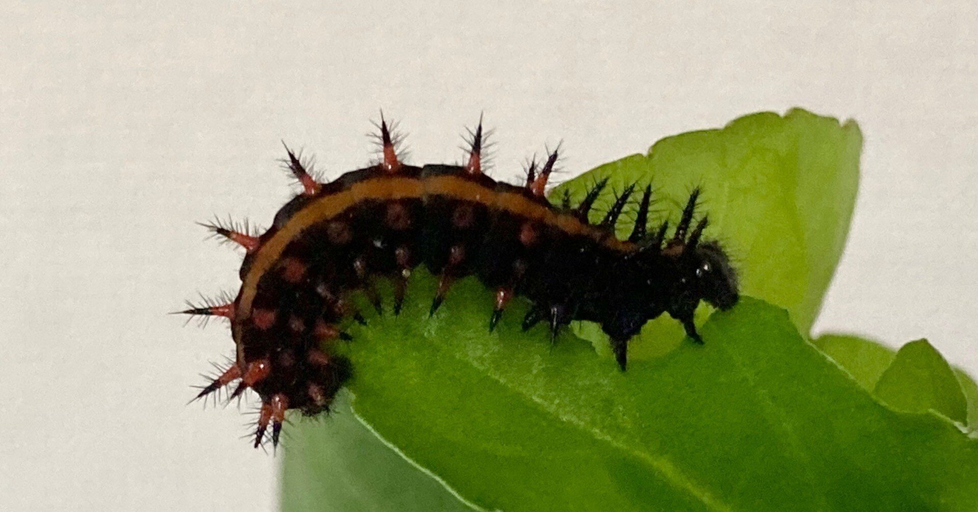 ec8a5d36bcf80aa24bc651d9ed6220