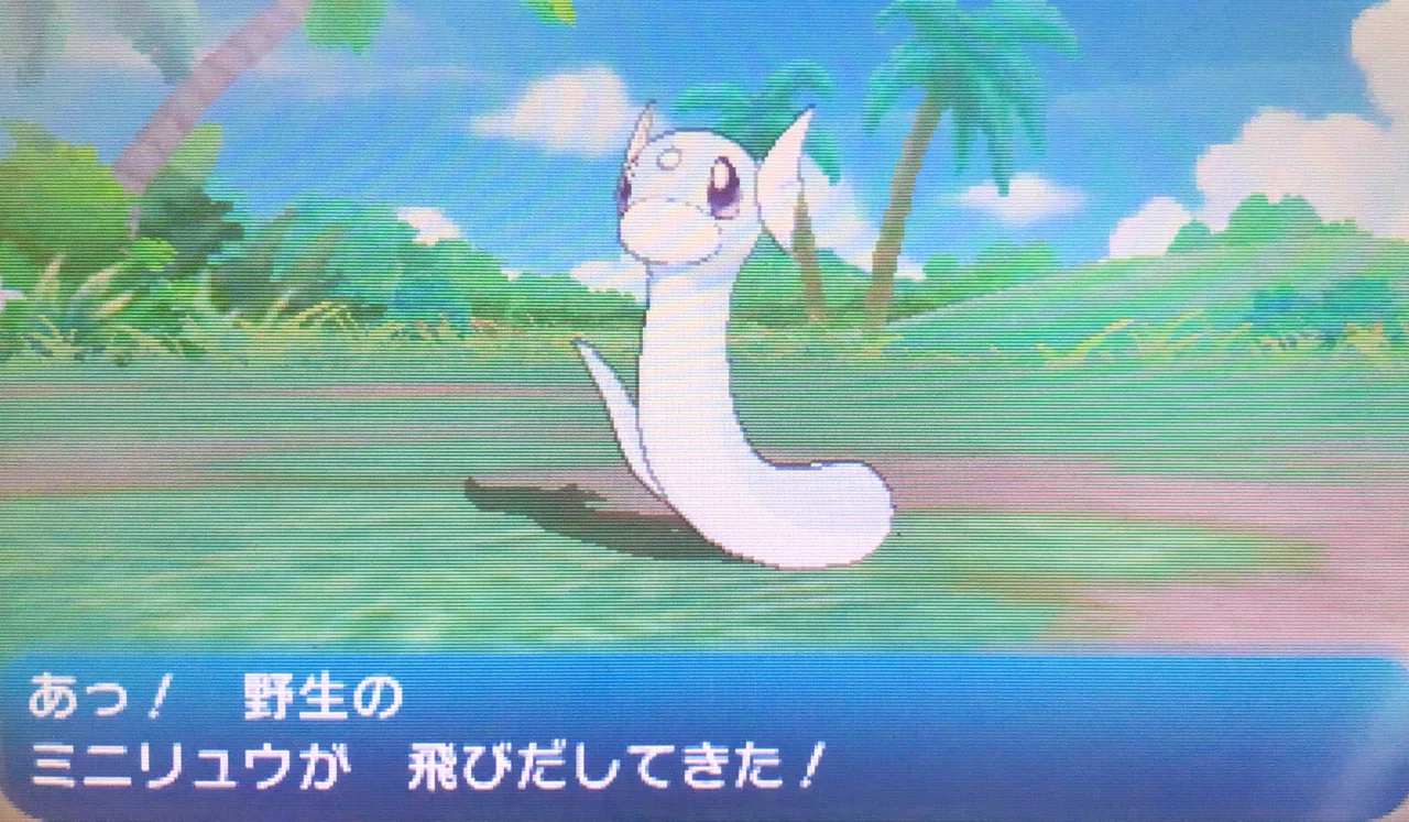 ポニの険路で輝麟のカイリューゲットに挑戦！！｜🏝️のびのびな