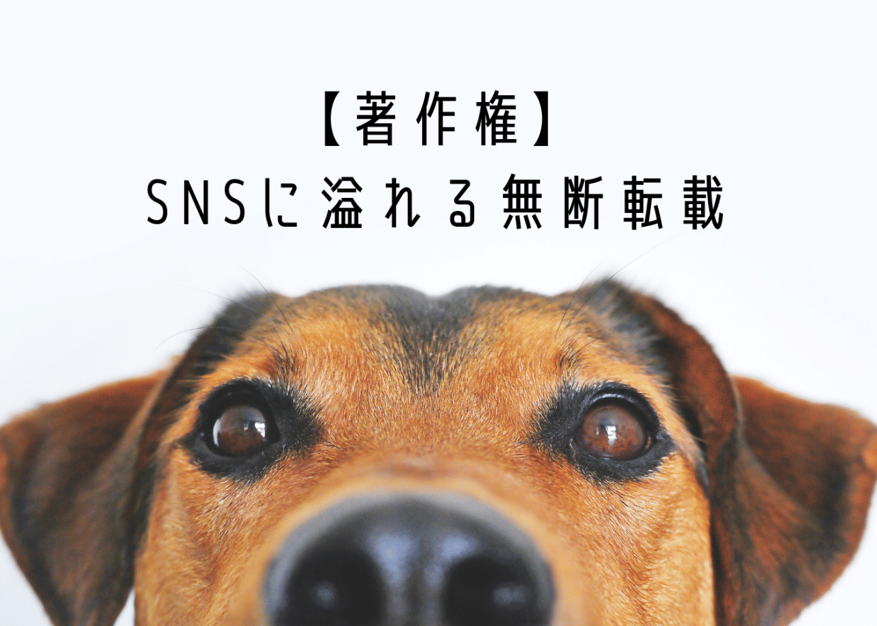 著作権 Snsに溢れる無断転載 ぽやけん Note 著作権 Snsに溢れる無断転載 ぽやけん Note