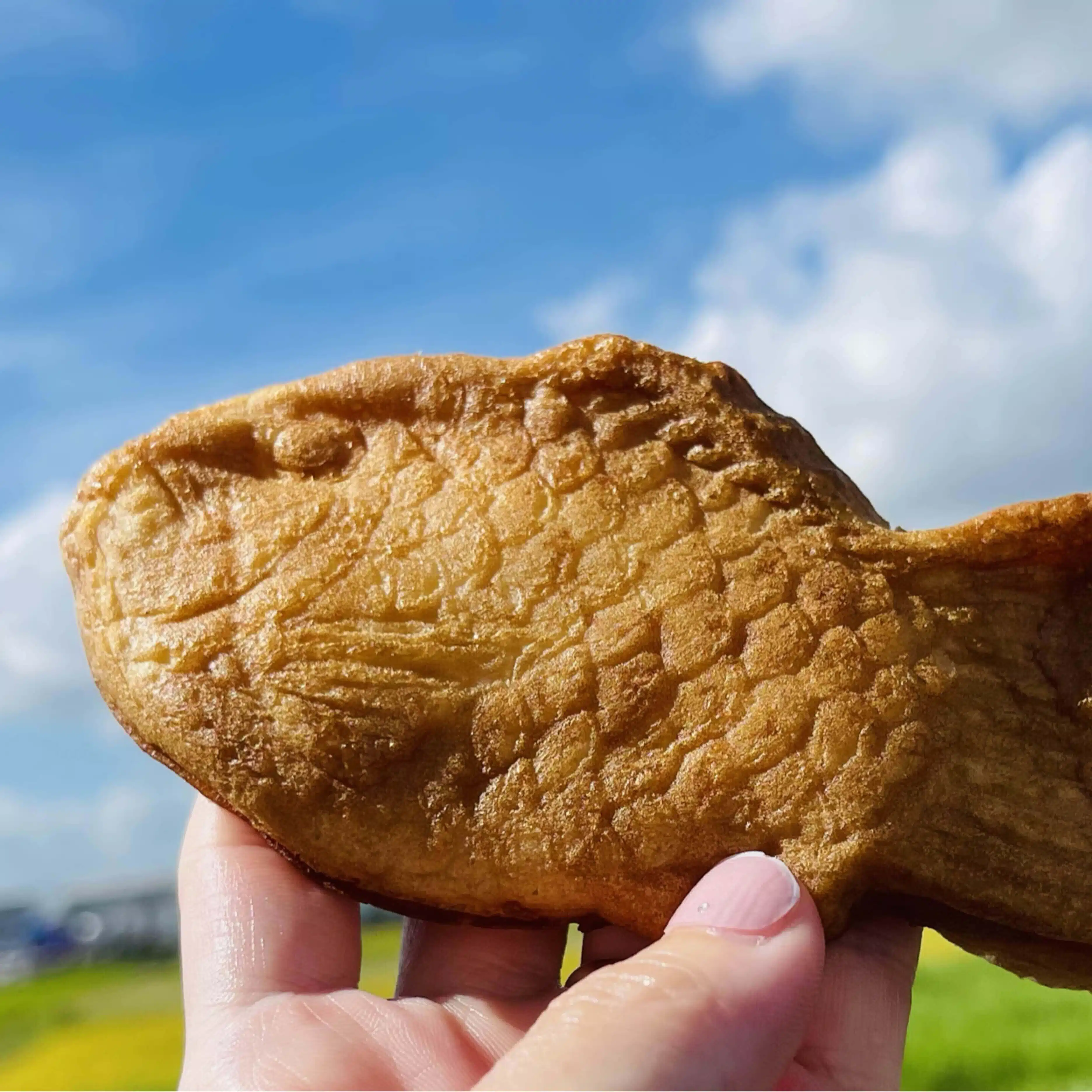 🐶まろん🌰ナンバーズ3考察