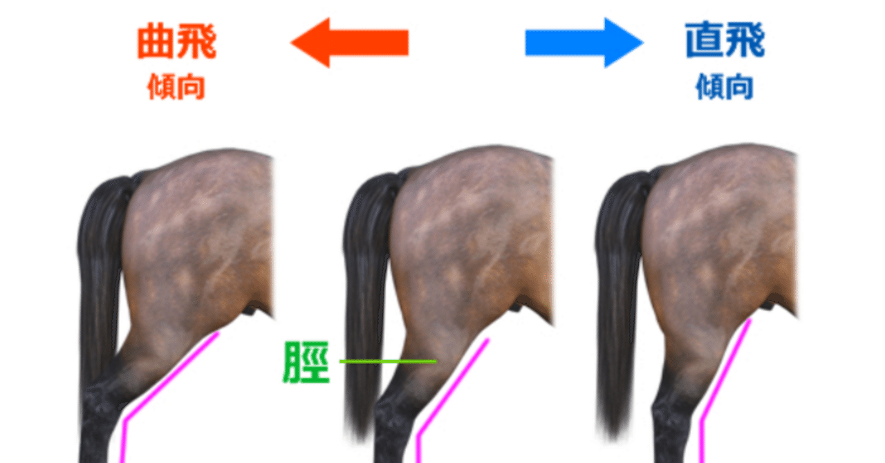 優駿牝馬2024検討第四報　〜最終追い切りを見て〜｜馬券検討&around40〜feeling