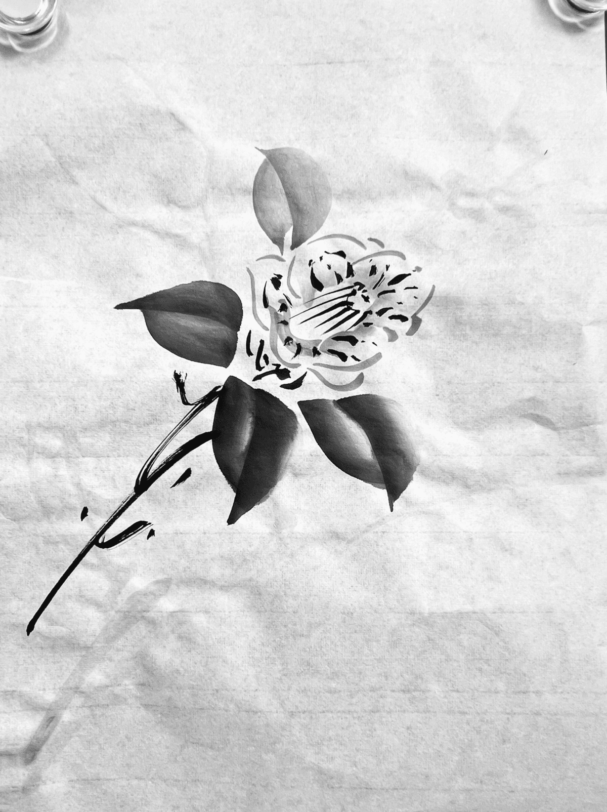 【真作】絵画　水墨画　藤の花　優雅な筆致　風情漂う墨の表現　伝統美術　W20 上達水墨画】今年こそ『藤の花』を極める！ - YouTube