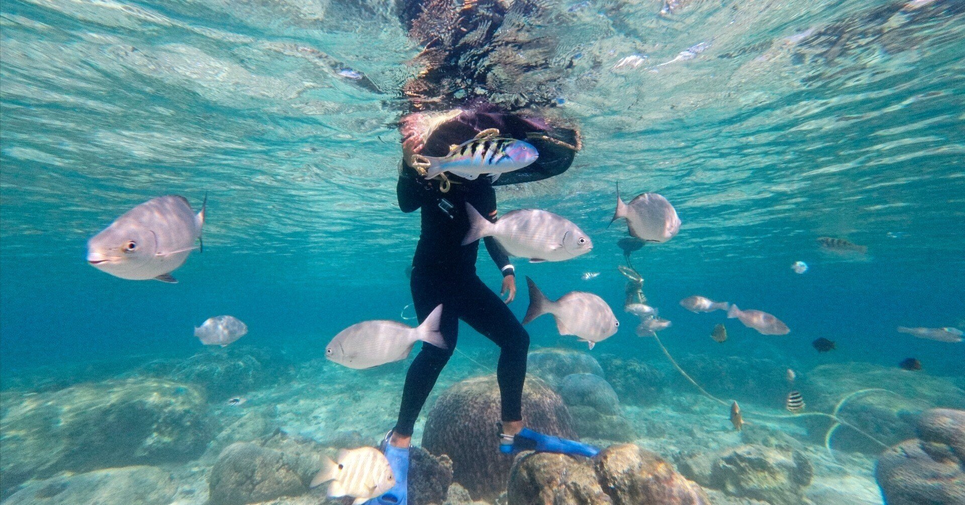 青の洞窟で有名な真栄田岬でシュノーケリング。今日はその様子をお伝え