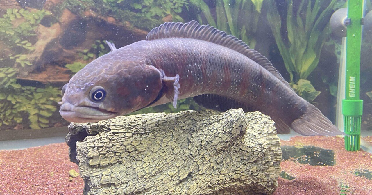 rectangle_large_type_2_aa55765