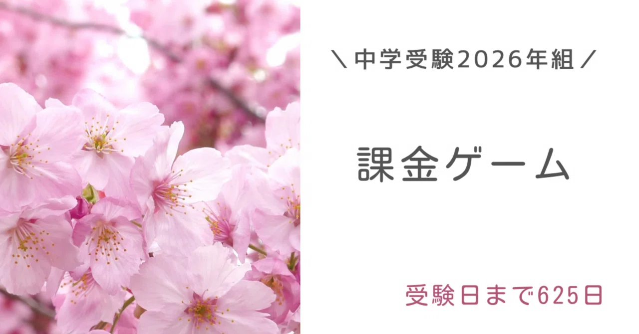 rectangle_large_type_2_065249f