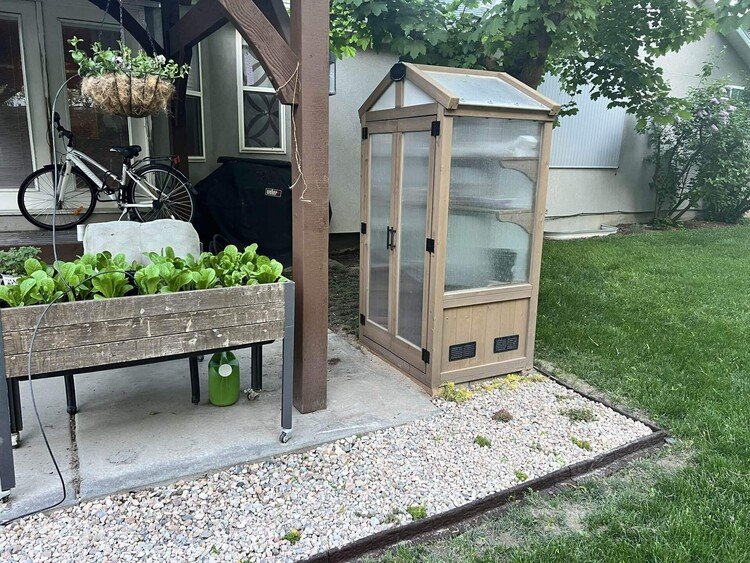 2月から始めた裏庭改造、終了！温室を計画通り東屋の屋根の外に出すために芝を剥がして台を作り移動させました。我ながらよくやった。