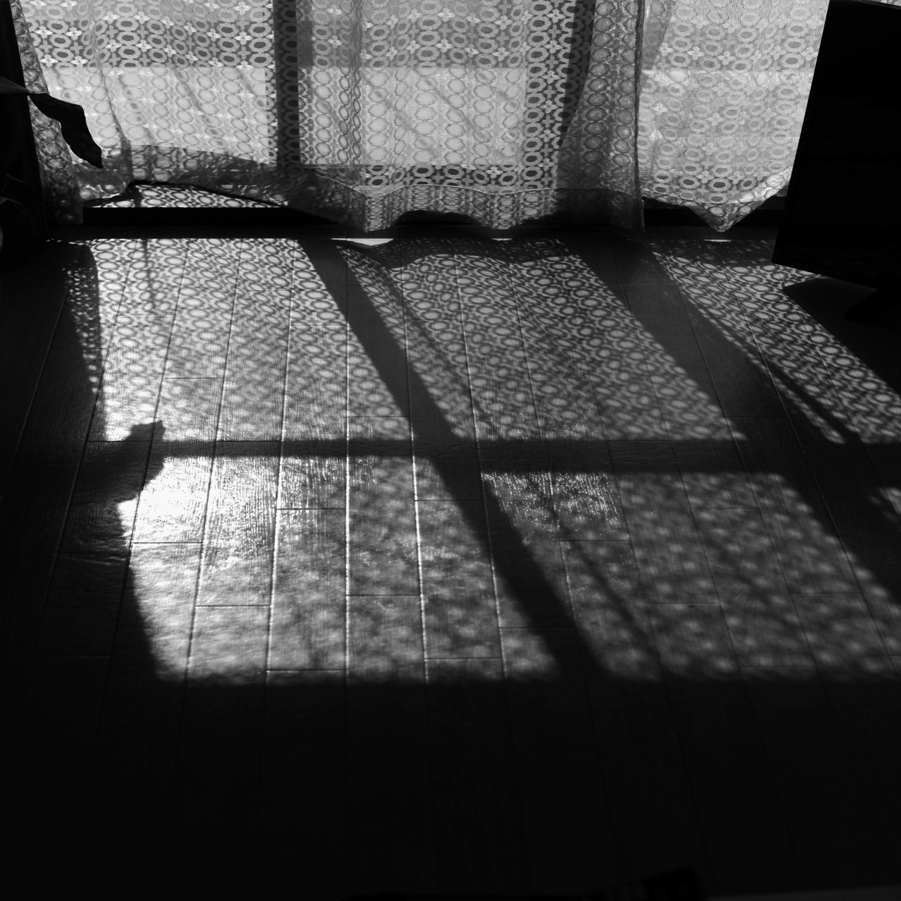 LEICA M Monochrom 作例｜good god genius