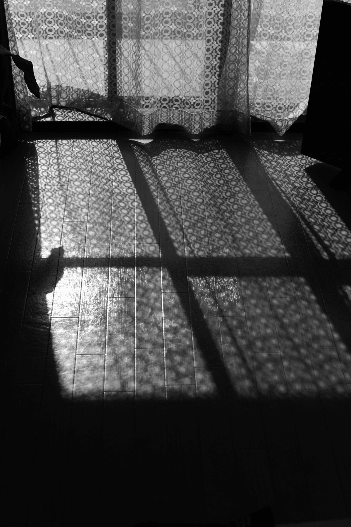 LEICA M Monochrom 作例｜good god genius