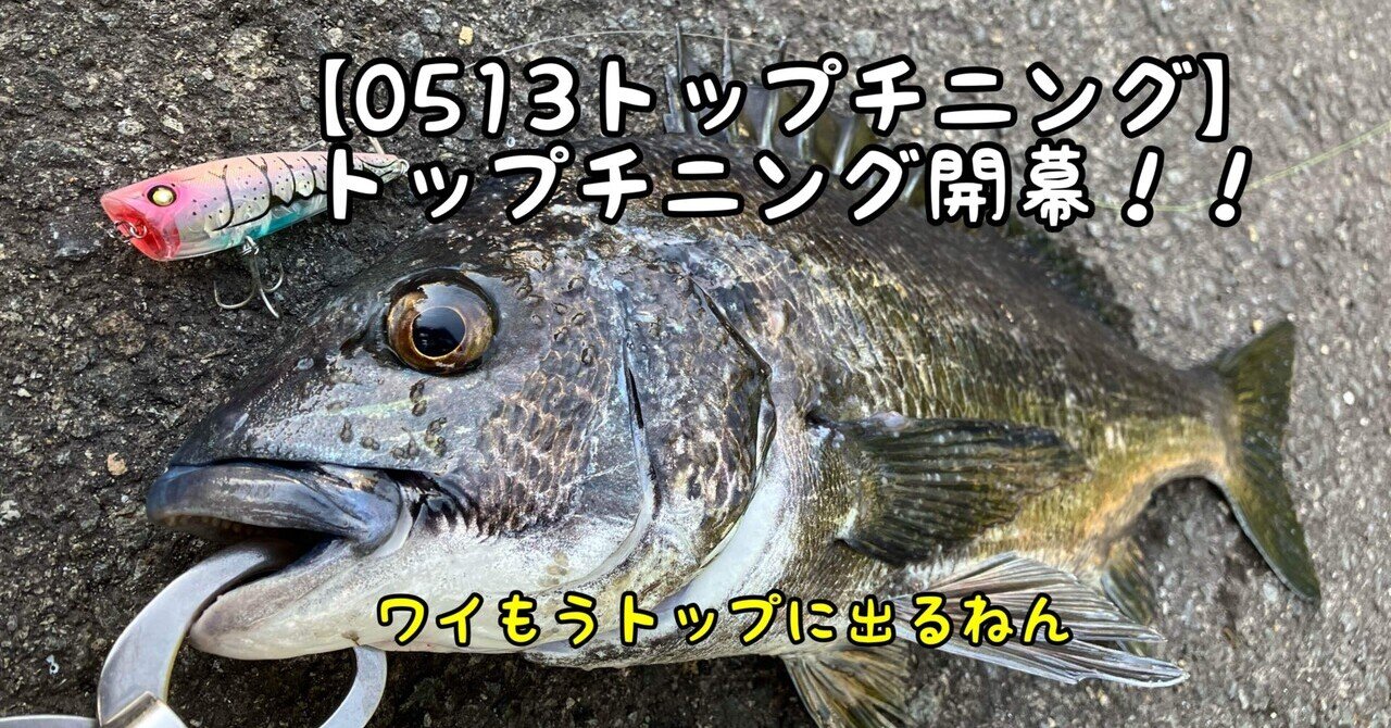0513トップチニング】 トップチニング開幕!!|ぐっちあっきー 0513トップチニング】 トップチニング開幕!!|ぐっちあっきー