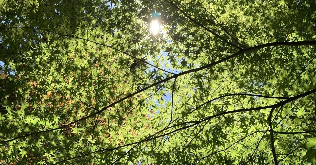 劇場版おっさんずラブ 感想を書きたいのに文字数が足りないの巻 栗川r note