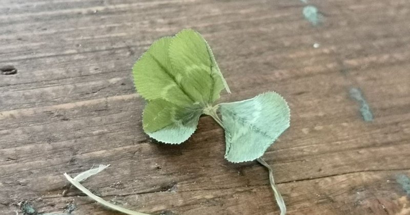 四つ葉のクローバーの探し方 続き めざめラボ Note 四つ葉のクローバーの探し方 続き めざめラボ Note