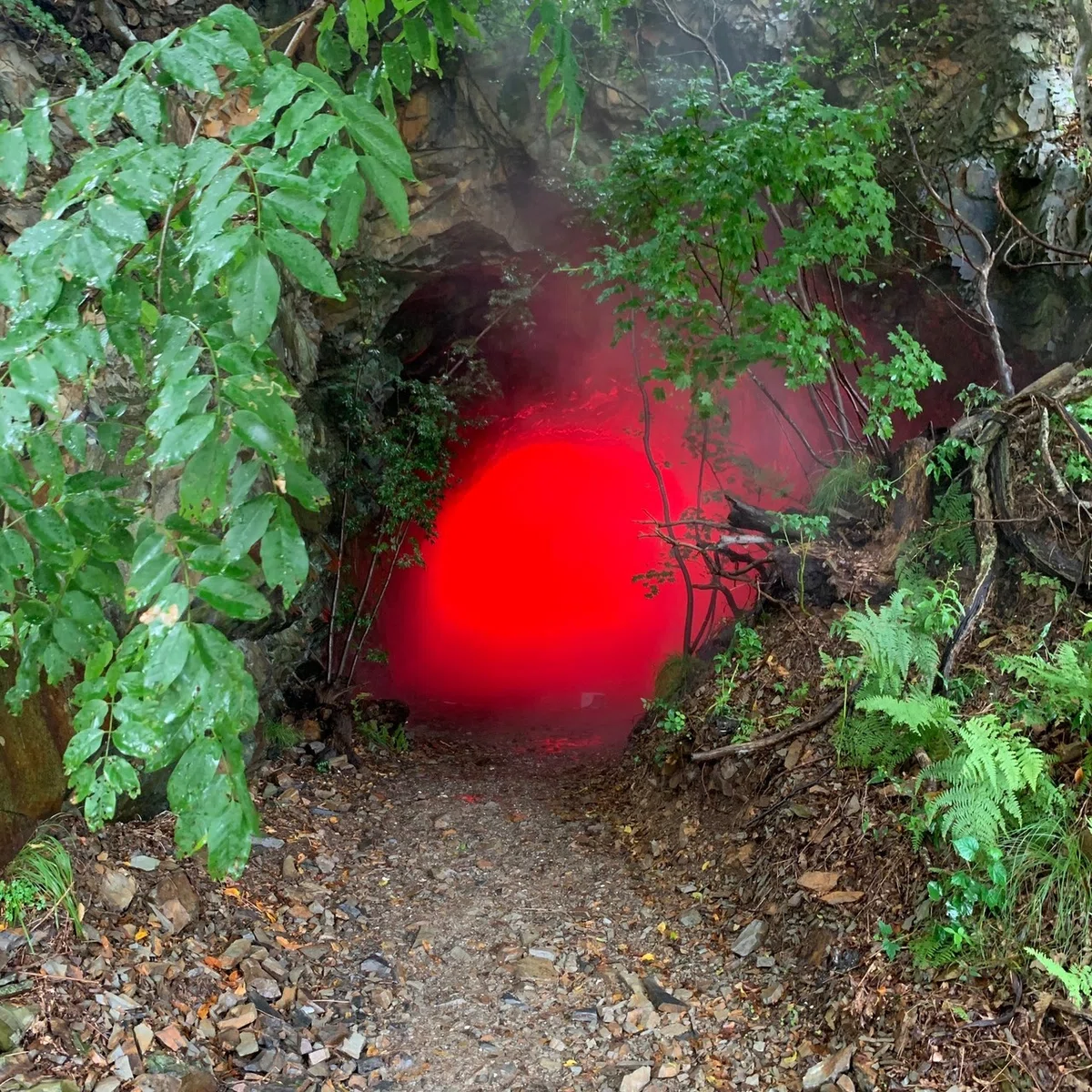 画像8