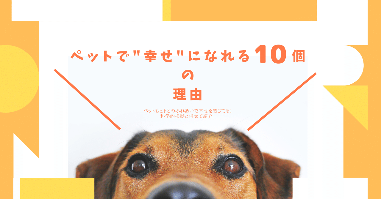 ペットがいると 幸せ になれる10個の理由 ペットもヒトとのふれあいで幸せを感じてる 科学的根拠と併せて紹介 はがくん 独学を応援する薬剤師 Note