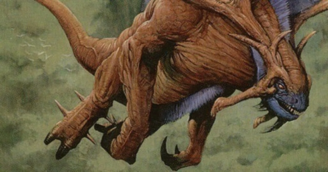 続ミドルスクールEDH｜Nagayo