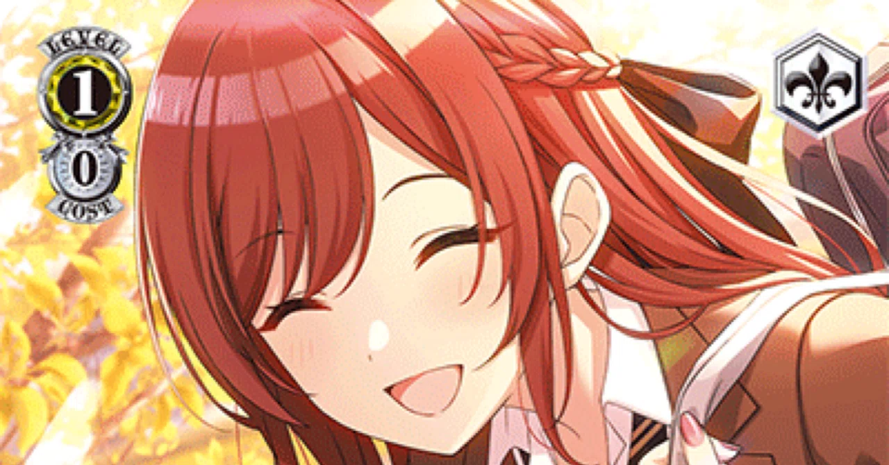 ヴァイス プレメモ VS 347枚まとめ売り AKB0048★3含む キャラクターカードゲーム 『ヴァイスシュヴァルツブラウ』より