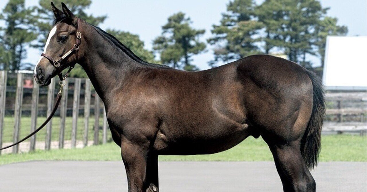 血統ニワカはもう卒業！みんなで血統勉強会！！（サンデーサイレンス編